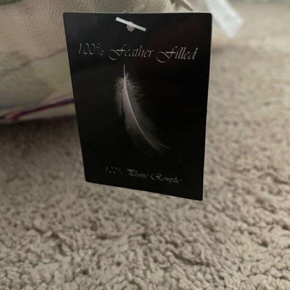 NWT Waterfall Feathers 19" square Accent Pillow w/insert - Picture 5 of 5